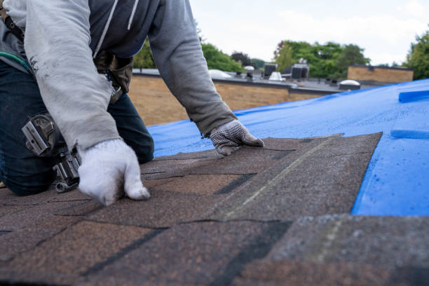 Roof Gutter Cleaning in Argyle, TX